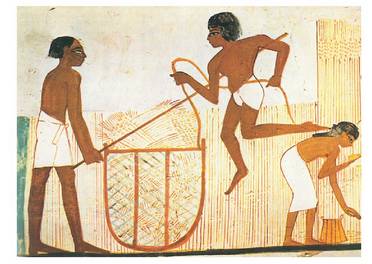 Egiptoar nekazariak uzta biltzen. K.a. 1400 inguruko hileta margoa. Ingurumenak neolitiko inguruan jasan zituen lehenengo itxuraldaketa eta gorabehera aipagarriak, baina Antzin Arotik aurrera egin dira aldaketa handienak, izadiaren baliabideak ustiatu ahal izateko.<br><br>